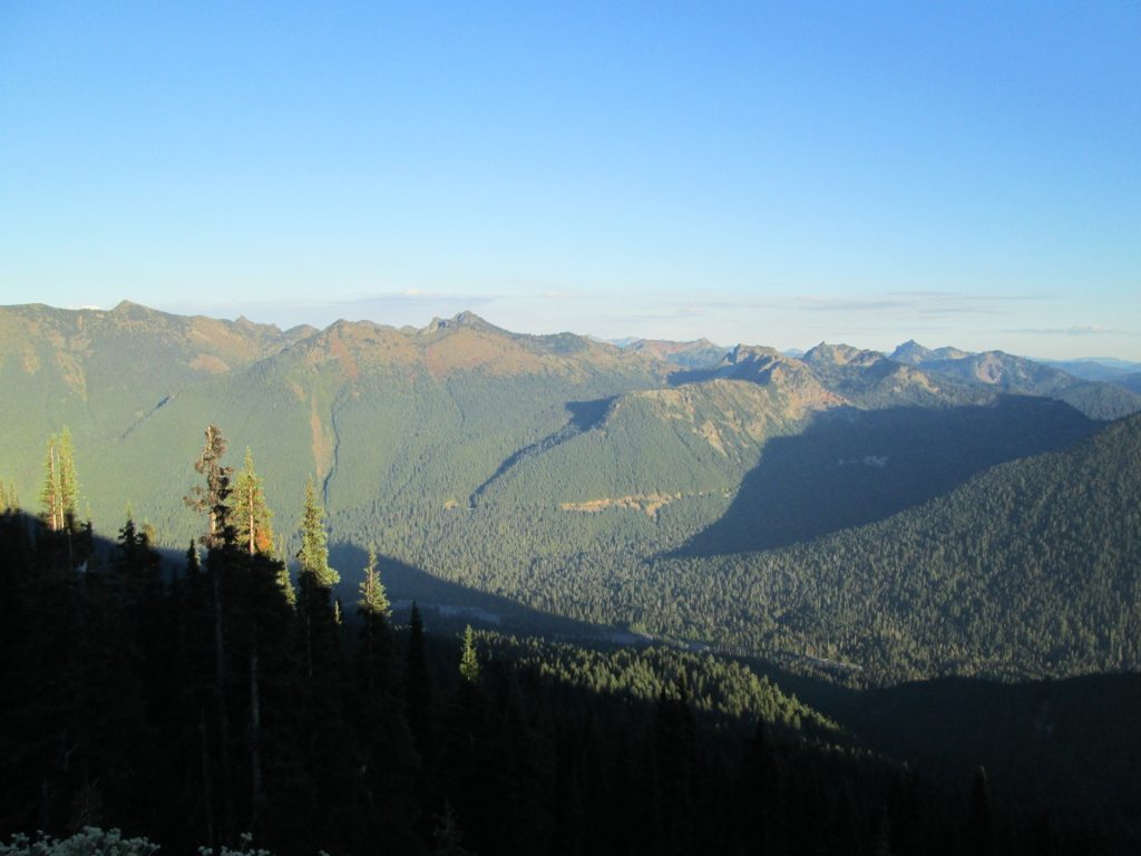 A forested valley in the Southern Cascade Range at sunset.