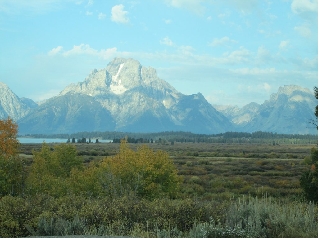 Willow flats of Grand Teton National Park, with the sun-speckled Grand Tetons in the background.